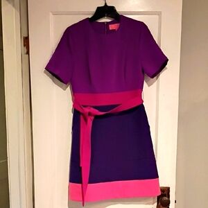 Elegant Purple and Pink Dress